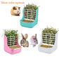Rabbit Supplies with Bowl & Hay Feeder - Accessories for Bunnies & Guinea Pigs, 6x6x7 Inches (White)
