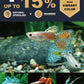 Ultra Fresh Royal Guppy Mignon Pellet, All Natural Guppy Food, Sword Prawns, Spirulina, Seaweeds, Highly Nutritious, for Cleaner Water and More Vibrant Color 4.6 oz