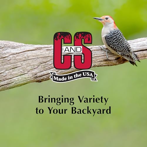C&S Berry Suet Treat, Wild Bird Food for Robins, Blue Jays, Bluebirds, Tanagers, Thrushes and More, 8 Pack