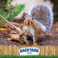 CountryMax Backyard Seeds Squirrel & Chipmunk Food Mix – 8 lb Bag – Premium Wildlife Blend with Sunflower Seeds, Peanuts & Corn – Ideal for Squirrels, Chipmunks, Rabbits & Backyard Birds