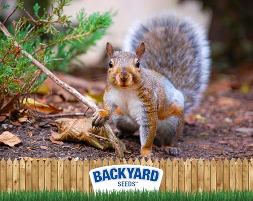 CountryMax Backyard Seeds Squirrel & Chipmunk Food Mix – 8 lb Bag – Premium Wildlife Blend with Sunflower Seeds, Peanuts & Corn – Ideal for Squirrels, Chipmunks, Rabbits & Backyard Birds