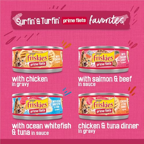 Purina Friskies Gravy Wet Cat Food Variety Pack, Surfin’ and Turfin’  Filets Favorites - (Pack of 40) 5.5 oz. Cans