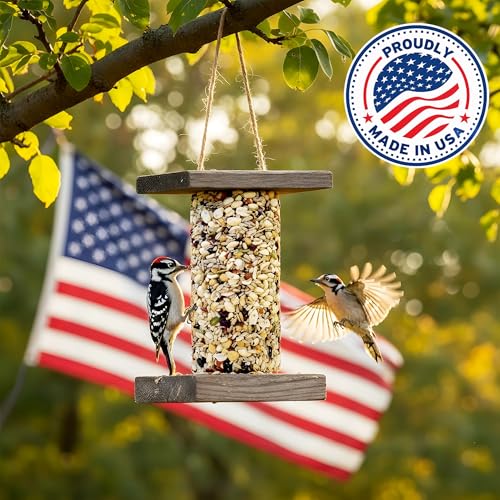 Woodpecker Bird Seed Cylinders with Hole – Premium Woodpecker Food Blend with Sunflower Chips, Peanuts & Suet – Natural High Energy Bird Seed, No Filler, No Shell, No Mess – USA Made (4" x 7.75")