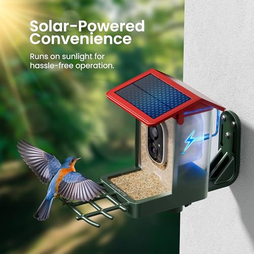 Smart Bird Feeder with Camera Solar Powered, 2K HD Video, AI Bird Species Identification, Instant Arrival Alerts, Weatherproof Design for Effortless Birdwatching, Best Gift for BirdLovers, Red