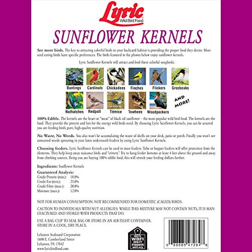 Lyric Sunflower Kernels Wild Bird Seed for Outside Feeders, No Waste Bird Food, Attracts Finches and More, 25 lb Bag