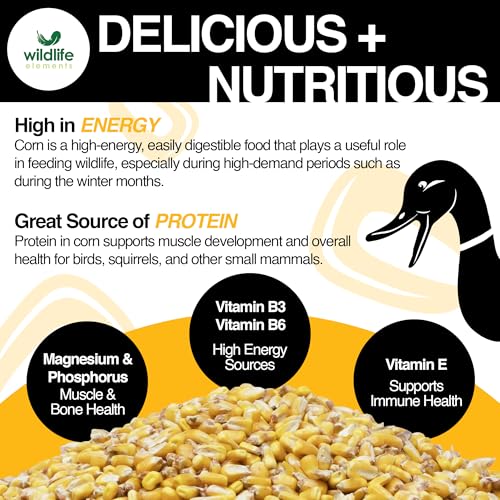 Wildlife Elements Critter Corn, Natural Whole Shelled Corn for Wildlife, 44lb Bag – High-Energy Feed for Deer, Squirrels, Turkeys, Ducks, Raccoons, and More – USA Sourced