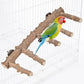 Mogoko Bird Ladder Perch for Cage, Natural Wood Bird Parrot Perch Stand Parrot Perch Bridge Climbing Chewing Toys for Small Medium Animal