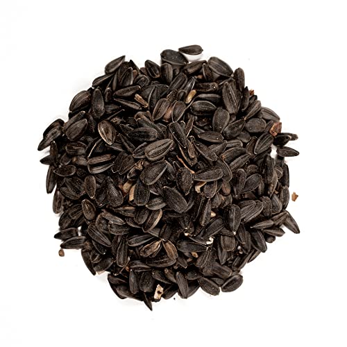 51041 40-Pound Bag, Black Oil Sunflower Wild Bird Food