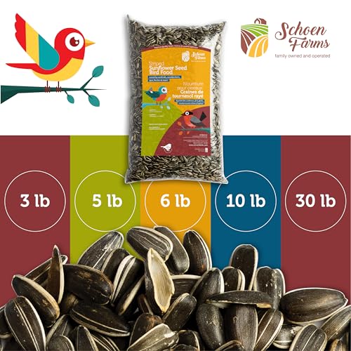 Schoen Farms Striped Sunflower Seeds – Hulled Wild Bird Food – 6 lb Bag – Premium Bird Seed for Cardinals, Jays & Finches