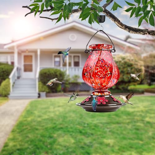 BOLITE Hummingbird Feeder, Hand Blown Glass Hummingbird Feeders for Outdoors Hanging with Ant Moat, 5 Bee-Proof Ports, Leak-Proof, 360° Perch, 22oz, Red, Gifts for Women Men, Gifts for Mom Dad