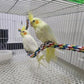 Bendable Fun Climbing Bird Cotton Rope Perch, Colorful Bungee Toy for Parrot, Bird Cage Accessories (31.5'' Metal Nut)