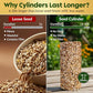 Mealworm Bird Seed Cylinders with Hole – Premium Mealworm Birdseed Log – Sunflower Chips & Dried Mealworms for Wild Birds – Natural High Energy Seed Cylinder – No Fillers – USA Made (4" x 7.75")