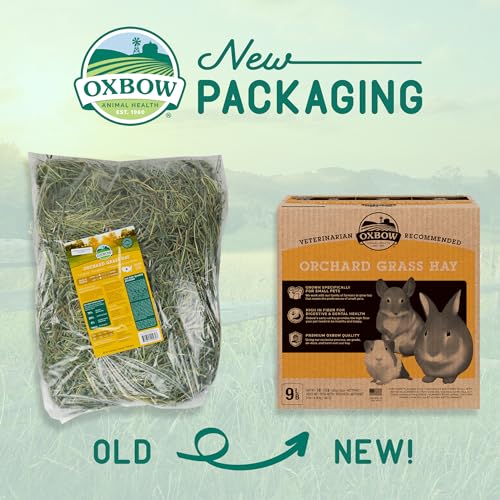 Oxbow Animal Health Orchard Grass, Guinea Pig Hay, Rabbit Hay, Small Pet Bunny Supplies, All Natural Grass for Guinea Pig, Bunny, Chinchilla & Hamster, Oxbow Rabbit Supplies for Bunnies, 9 lb. box