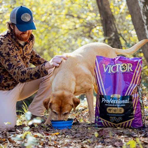 VICTOR Super Premium Dog Food – Professional Dry Dog Food – Super Premium Kibble with 26% Protein – Gluten-Free with Beef, Chicken & Pork Meals – for