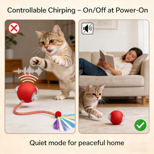 Interactive Cat Toys for Indoor Cats, Speedy Tail Cat Ball | 300mAh High-Capacity Battery, Controllable Chirping, Smart Electric Motion, Interactive