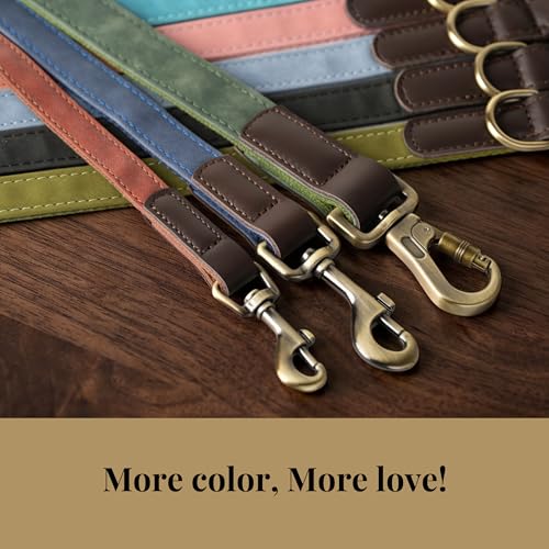 Didog PU Leather Dog Leash for Medium Dogs 5ft, Soft Padded Handle Dog Leashes, Easy to Clean, Walking and Training Leashes Faux Leather for Medium