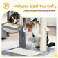 PAWZ Road Cat Scratching Post Bed, Small Cat Tree Tower with Cat Scratcher Pad Large Top Removable Bed with Play Ball Great for Kittens and Cats