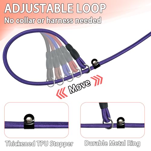 FOVRLZSE Nylon Dog Leash 5-Pack (Red/Black/Blue/Brown/Purple), 4.6FT Training Leash for Small to Medium Dogs, 10mm Braided Nylon with TPU Non-Slip