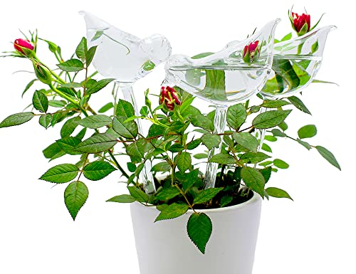 Glass Plant Watering Globes, Self Watering Globes Bird Shape, Self Watering Planter Insert, Plant Watering Devices, Automatic Plant Waterer Indoor, Watering Bulbs, 3 Pack
