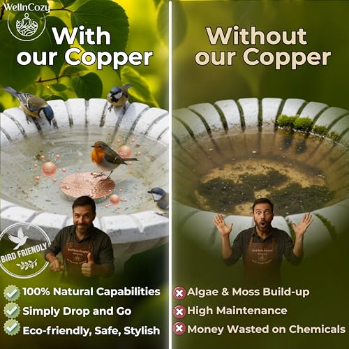 Bird Bath Copper Disk & Maintenance Set, 2 Hammered Style 0.8mm, 99.9% Pure Copper Plate, Rustic Birdbath Accessories for Bowl and Fountain, Supports Easy Maintenance, Safe for Birds