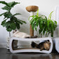 PetFusion Jumbo Cat Scratcher Lounge, White. 39 x 11 x 14 inch 4 Cardboard Scratching Surfaces and 2 Levels, Scratch, Play, Perch, and Hide100% Recyclable Cardboard Cat Lounge