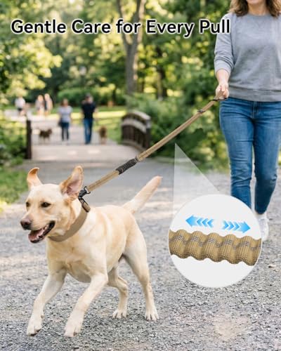 Joytale Tactical Dog Leash Heavy Duty, 4-6FT Shock Absorbing Bungee Lead with 2 Padded Handle, Metal Carabiner Clip, Car Seatbelt, Strong No Pull