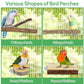7PCS Natural Wood Bird Perches for Cage, Bird Parrot Parakeet Perch Stand, Bird Parakeet Cage Accessories, for Cockatiels Conure Budgies Small and Medium Parrots
