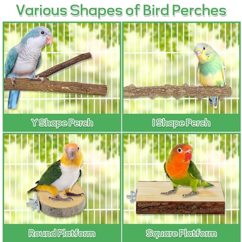 7PCS Natural Wood Bird Perches for Cage, Bird Parrot Parakeet Perch Stand, Bird Parakeet Cage Accessories, for Cockatiels Conure Budgies Small and Medium Parrots