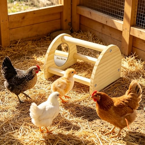 Pine Chicken Perch with Mirror, Strong Chick Jungle Gym Roosting Bar, Chicken Toys for Coop and Brooder, Training Perch Toys for Large Bird, Parrot, Macaw, Hens (Small)