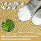 DYAUS Rabbit Scratching Pad, Sisal Bunny Scratch Pad, Natural Rabbit Foraging Mats for Cages, Indoor Bunny Toys Accessories for Bedding Biting Sleeping Resting (2PCS, 16x12in)