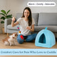 Cat House - Indoor Bed with Removable Foam Cushion - Pet Tent for Puppies, Rabbits, Guinea Pigs, Hedgehogs, and Other Small Animals by PETMAKER