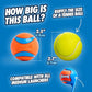 Chuckit! EcoFetch Dog Ball Launcher - 18" with Medium (2.5") Dog Fetch Ball Thrower, for Dogs 20-60 Pounds, Made in USA