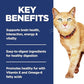 Hill's Science Diet Senior Vitality, Senior Adult 7+, Senior Premium Nutrition, Dry Cat Food, Chicken & Rice, 6 lb Bag
