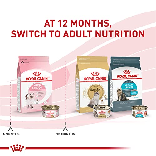 Royal Canin Feline Health Nutrition Kitten Thin Slices in Gravy Cat Food, 3 oz (Pack of 12)