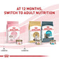 Royal Canin Feline Health Nutrition Kitten Thin Slices in Gravy Cat Food, 3 oz (Pack of 24)