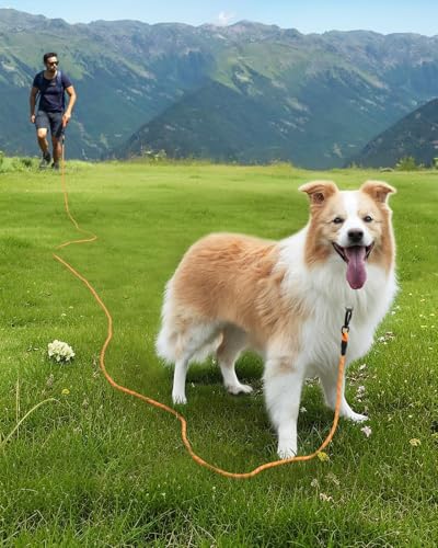 Joytale Long Leash for Dog with Removable Padded Handle, Heavy Duty Lead for Large Medium Dogs,15FT/30FT/50FT/65FT Reflective Training Leash for