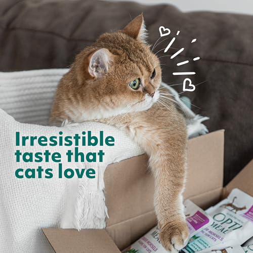 Optimeal Wet Cat Food Variety Pack - Grain Free Tender Morsels, High Protein Premium Nutrition Made with Natural European Ingredients in Savory Gravy, Adult Cat Food Wet Pouches 3oz Pouch (Pack of 12)