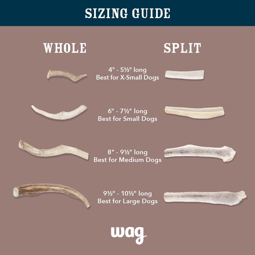Wag Dog Deer Antler Chew, Naturally Shed, Whole, 9 - 10.5 inches, Long Lasting for Aggressive Chewers, X-Large, Best for Dogs over 45 lbs