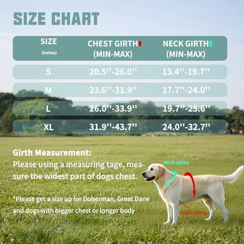 AUROTH Dog Harness and Leash Set, Soft Padded Service Dog Vest with 5.25FT Dog Leash, No Choke, Easy On Pet Vest, Adjustable Reflective No Pull Pet