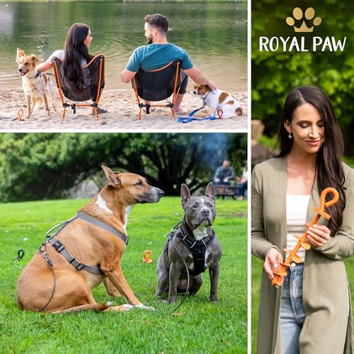 ROYAL-PAW Dog Tie Out Stake - for Large Dogs up to 210 lbs - Heavy Duty Dog Stake for Yard, Beach & Camping Outside - Best in Ground Anchor for a Dog Cable, Leash, Lead Tether (1, Midnight Black)