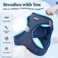 rabbitgoo Dog Harness Small Sized and Leash Set, Step in Soft Light Puppy Vest, Breathable Mesh Pet Harness, Reflective for Safe Outdoor Walking