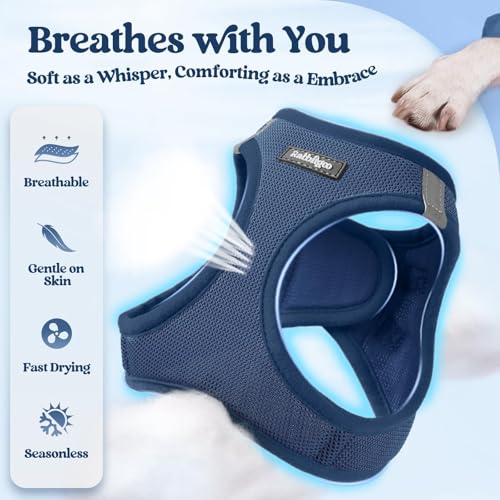 rabbitgoo Dog Harness Small Sized and Leash Set, Step in Soft Light Puppy Vest, Breathable Mesh Pet Harness, Reflective for Safe Outdoor Walking