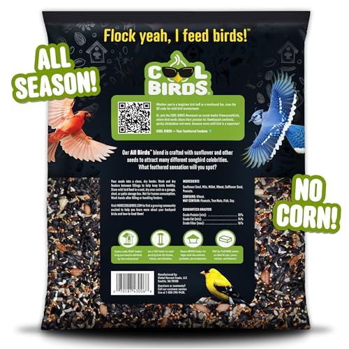 All Birds Wild Bird Seed – 10 lb. Classic Blend with Black Oil Sunflower, White Millet, Safflower, Peanuts & Sunflower Hearts – Balanced Bird Food for Outside Feeders