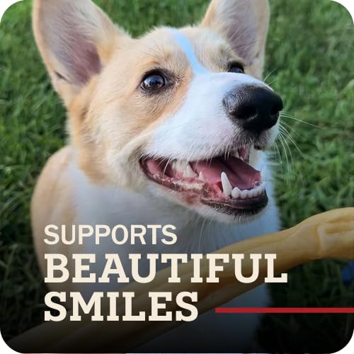 Redbarn Pet Products All-Natural Large 12" Beef Collagen Sticks for Dogs - Long Lasting Low-Odor Alternative to Traditional Rawhide & Bully Sticks