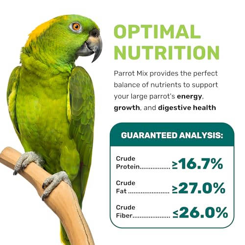 Parrot Mix 5 Lbs, Premium Parrot Food, Nutrient-Rich Blend Birdseed, Supports Energy, Growth & Digestive Health, Tasty and Enjoyable Mix Parrot Food for Healthy & Balanced Diet