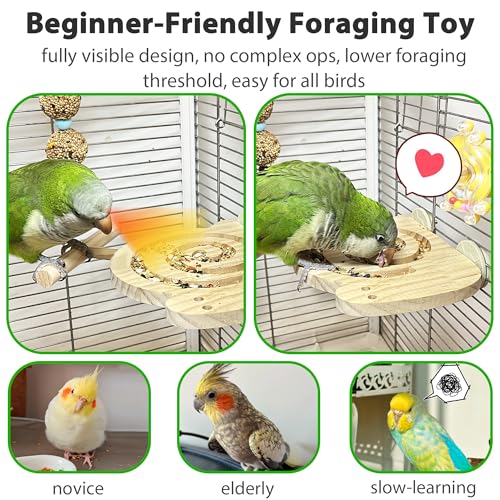 Bird Foraging Toys with Perch, Kiln-Dried Wood Bird Enrichment Toys for Slow Feeder, Parakeet Toy for Cages Reduce Seed Mess, Visible Food Design Parrot Puzzle for Novice/Older/Slow-Learning Birds