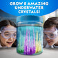 National Geographic Underwater Crystal Growing Aquarium Science Kit – Grow 8 Colorful Crystals Underwater | 360-Degree Secure Viewing Canister