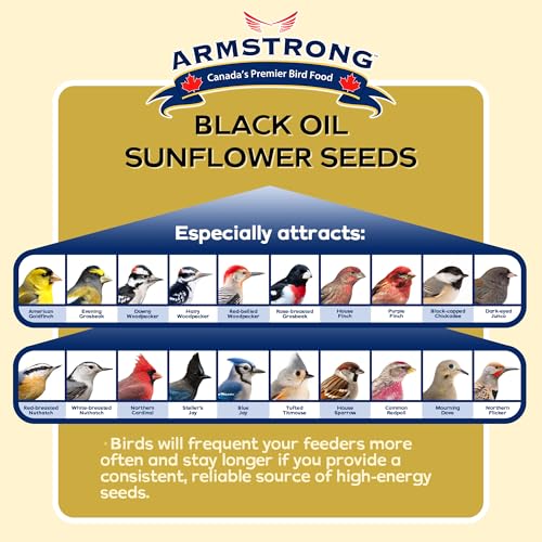 Armstrong Wild Bird Food Black Oil Sunflower Bird Seed, 35.3 Pounds - for Northern Cardinals, Blue Jays and Hairy Woodpeckers - Ideal for Outside Feeders