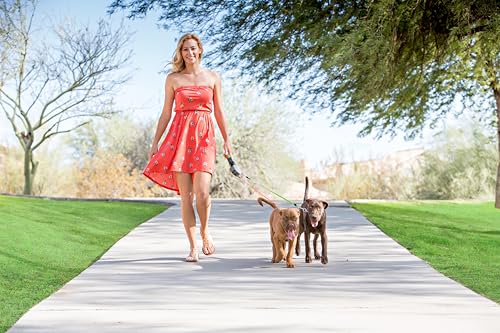 WIGZI - 2025 Enhanced Edition - Dual (2) Dog Retractable Leash, Auto-Untangles, Supports Up To 50lb Dogs, 10ft Distance Each Dog, Color-Coded