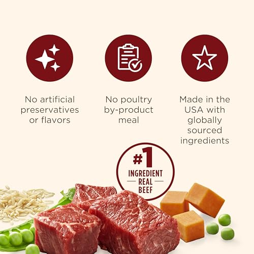 Nutrish Real Beef & Pumpkin Recipe Whole Health Blend Premium Paté Wet Dog Food, 13 oz. Can, 12 Count, Packaging May Vary (Rachael Ray)